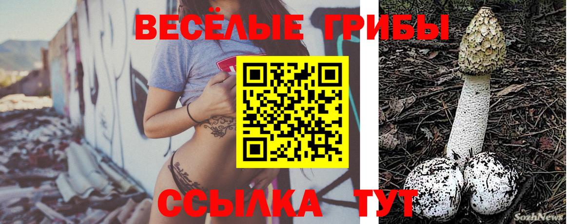 Галлюциногенные грибы ЛСД  Вход с VPN  Ейск  Галлюциногенные грибы MAGIC MUSHROOMS 
